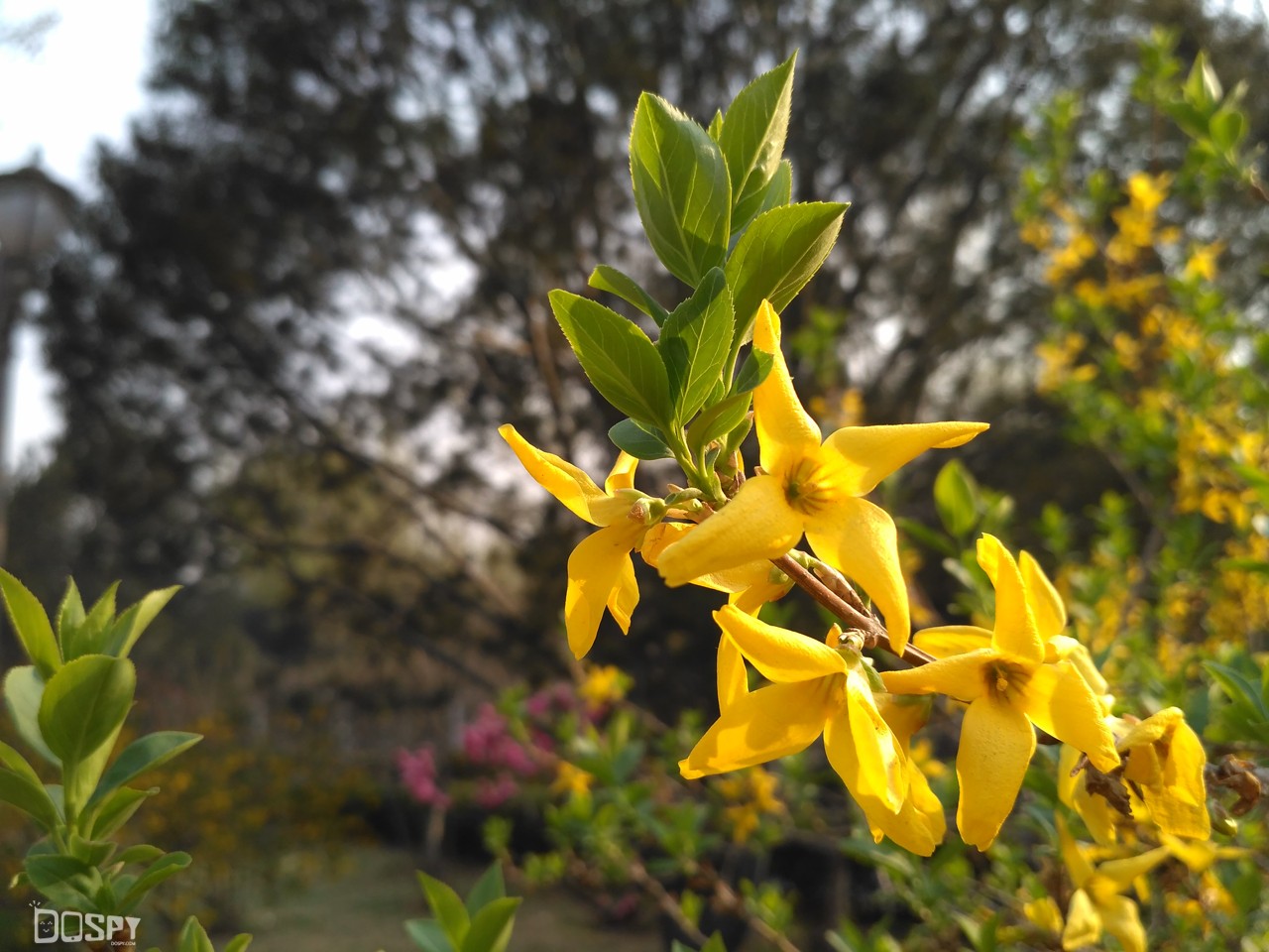 红米3高配版详细参数,红米3高配版报价