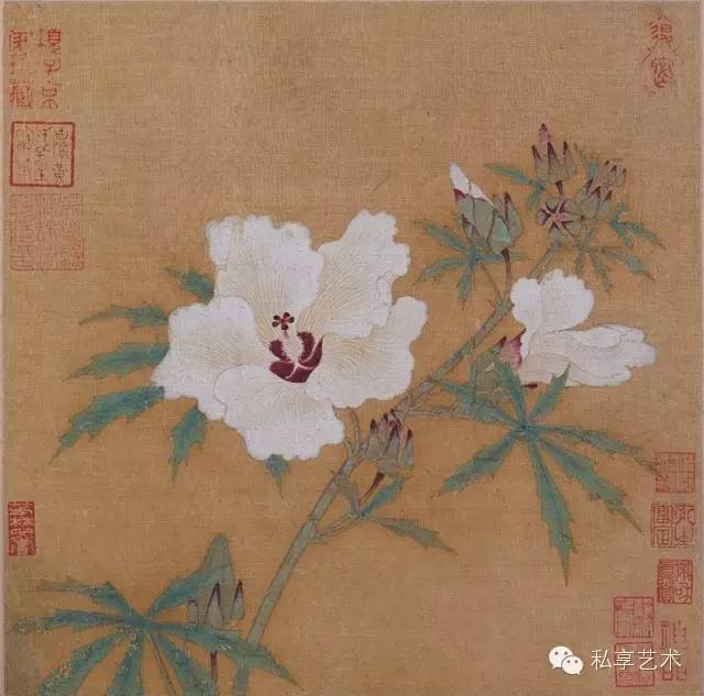 对中国传统绘画中的花鸟画的理解,中国花鸟画意境解读