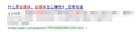 品牌包装方案-搜索引擎