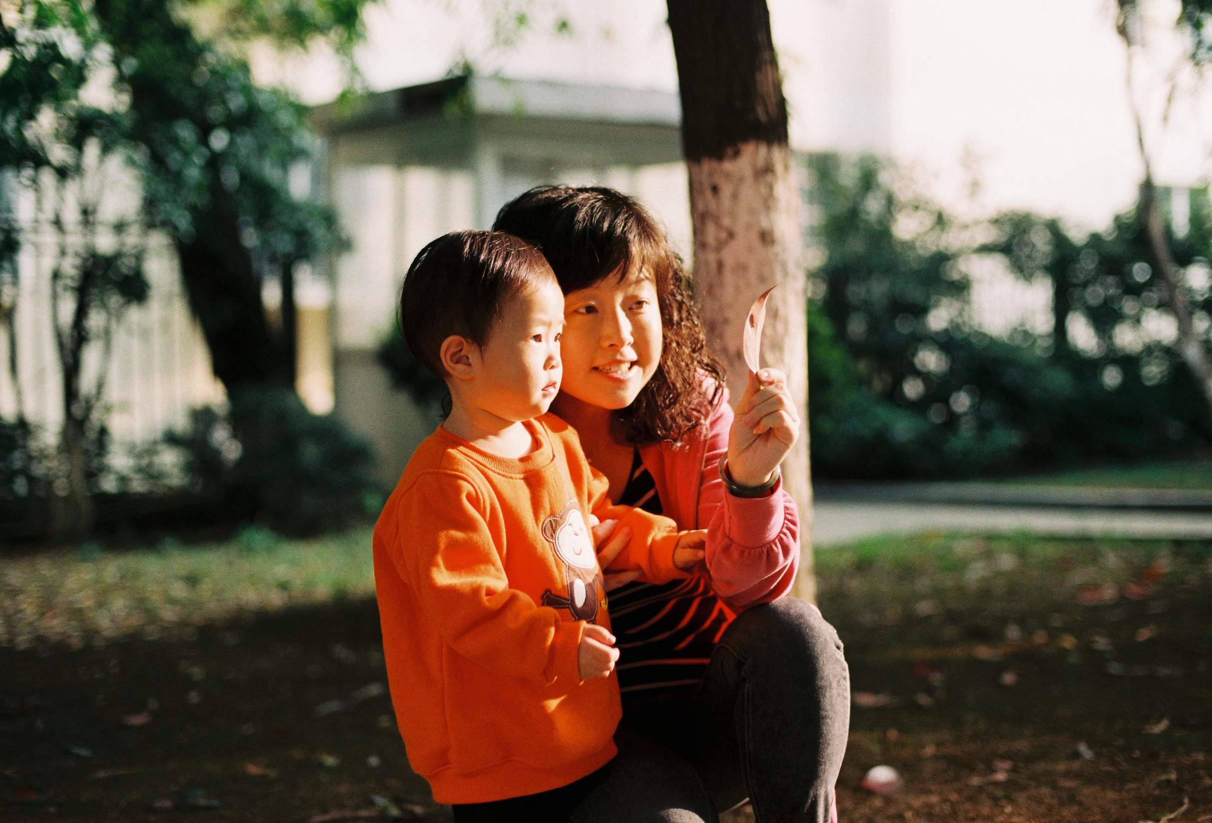 为什么不建议吃外国奶粉,中国宝宝适不适合喝外国奶粉