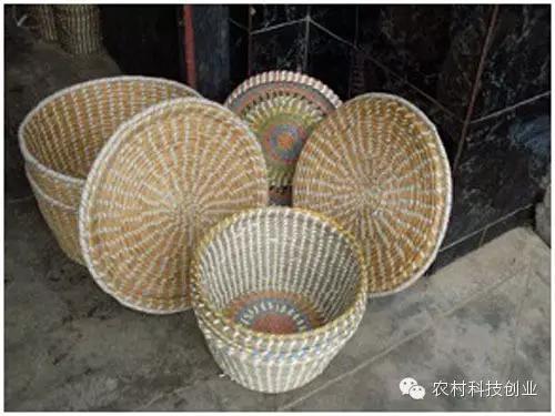 适合农村创业的小本点子,12个适合农村创业的小本项目