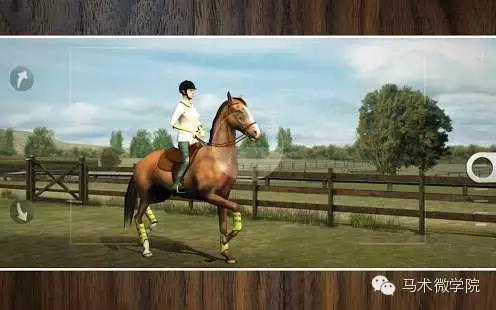 自己养一匹马,能在手机上养宠物的软件