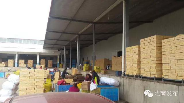 甘肃礼县花牛苹果滞销,电商悲情营销滞销苹果