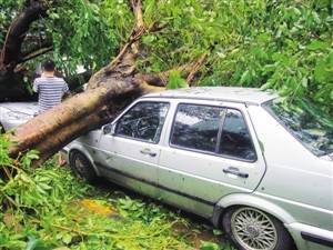 车险如何购买有效,如何购买机动车保险