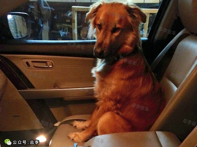 老公，这五菱跑车真漂亮，明年咱换车吧？100多万你能存够吗？