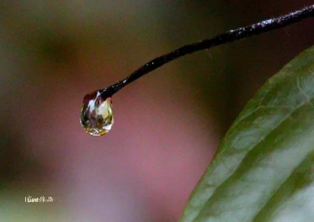 三亚最美的夕阳日落,夕阳的落下