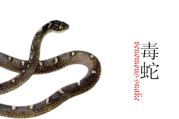 “清明蔗毒过蛇”都是变质惹的祸