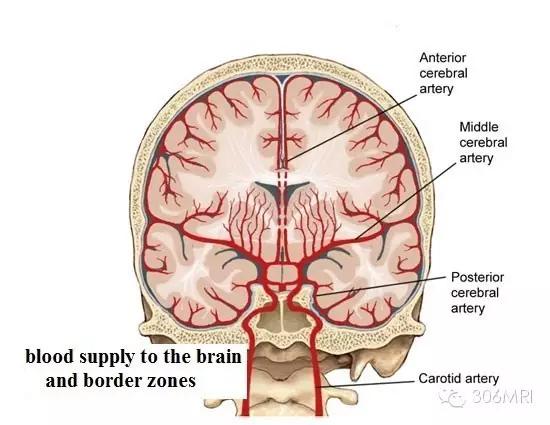 核磁共振轻度脑白质征象,脑白质内见多发斑点什么状况