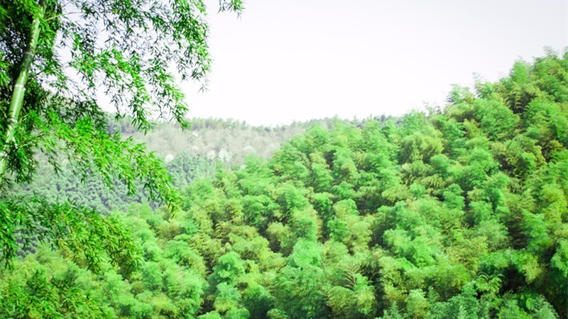 杭州最值得去吃的地方,杭州旅游美食推荐地点