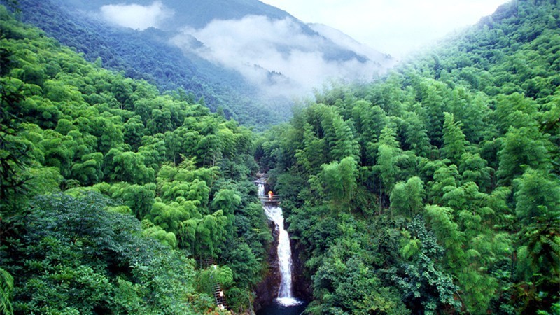 杭州最值得去吃的地方,杭州旅游美食推荐地点