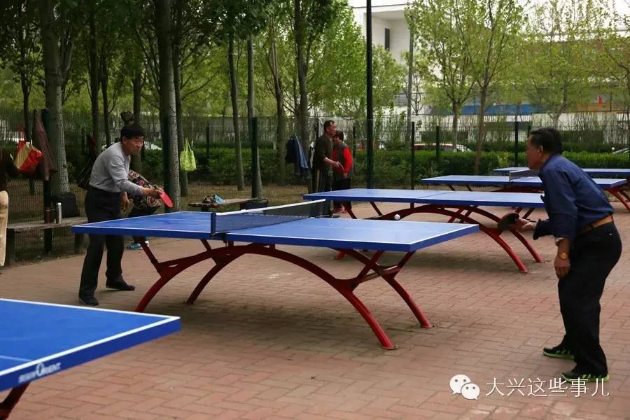 北京可移动运动场地,免费运动场地排行榜