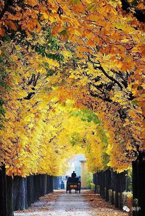 宜居城市维也纳,维也纳世界宜居城市第一名