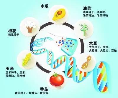 外国人说中国转基因,国外转基因标识