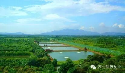 适合农村创业的小本点子,12个适合农村创业的小本项目