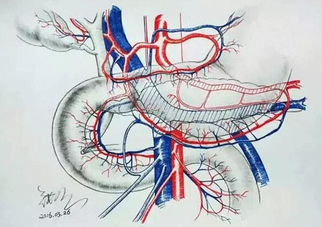 苏州园区以旧换新房价会怎样,苏州新鲜事今日头条