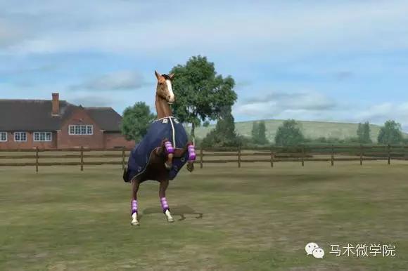 自己养一匹马,能在手机上养宠物的软件