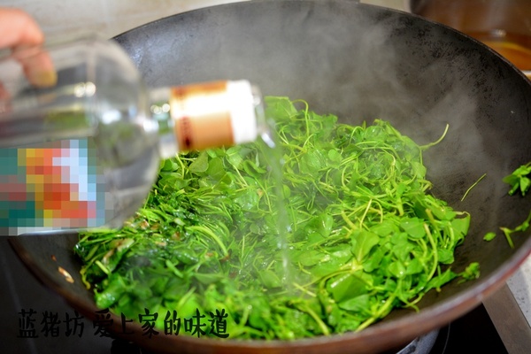 春天吃的野菜大全配图片和名字,春天的野菜有哪些能做菜吃