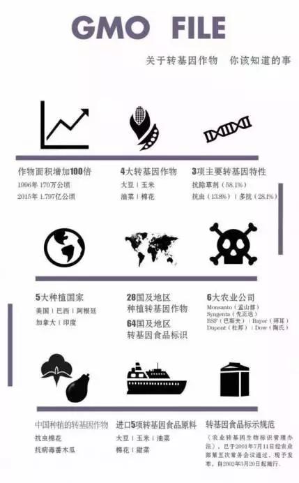 转基因食物安全吗,转基因食品欧美国家人吃不吃