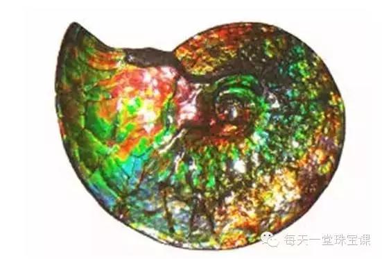 顶级老蜜蜡单珠图片,老蜜蜡大珠子图片欣赏