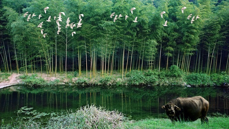 杭州最值得去吃的地方,杭州旅游美食推荐地点