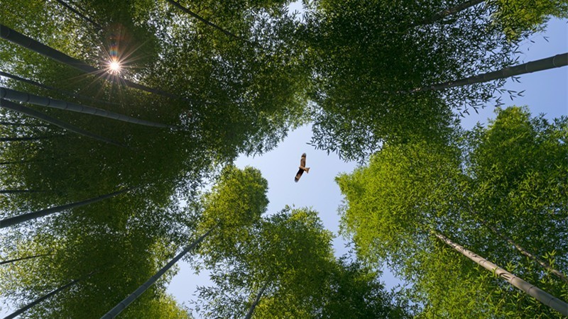 杭州最值得去吃的地方,杭州旅游美食推荐地点
