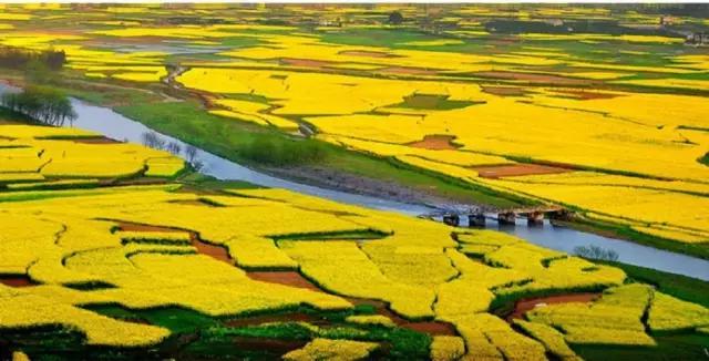 重庆是不是又出名了,为什么重庆在全国名气那么大