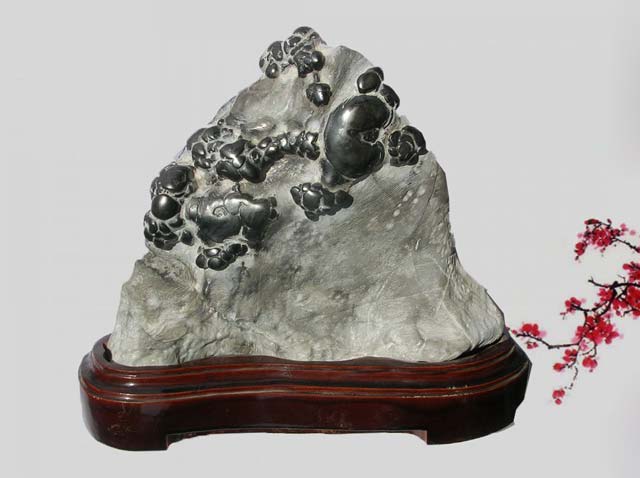 灵璧奇石珍珠,周寨灵璧珍珠石