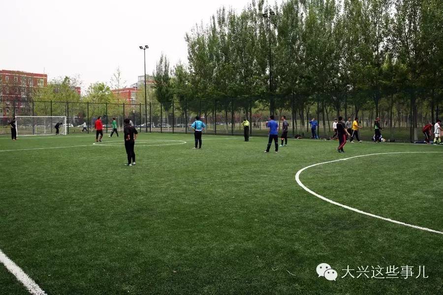 北京可移动运动场地,免费运动场地排行榜