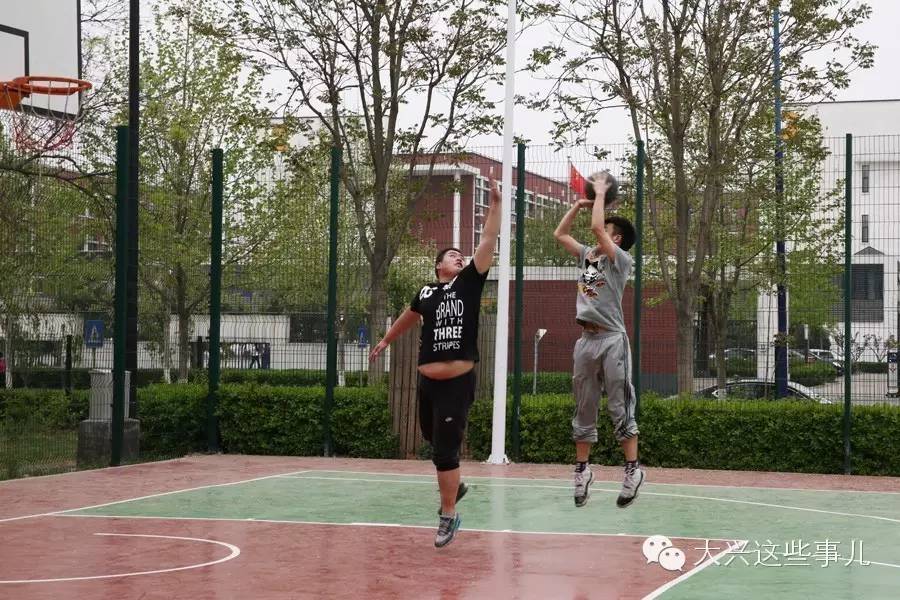 北京可移动运动场地,免费运动场地排行榜