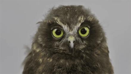 原来思聪后宫团都是美瞳控！如何放电“养”眼两不误？