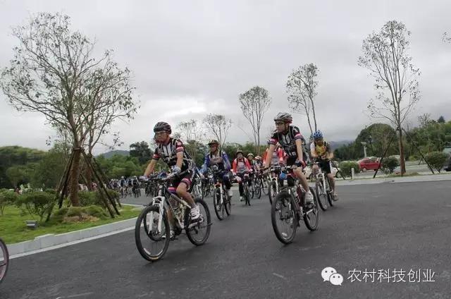 2021年啥生意投资少赚钱快,2021年做什么生意最赚钱又靠谱