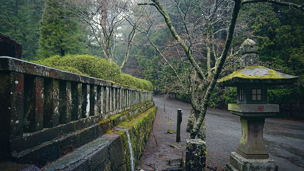 #与索尼为5#赏樱之旅之三：暴雨中方见机身防水之本色！