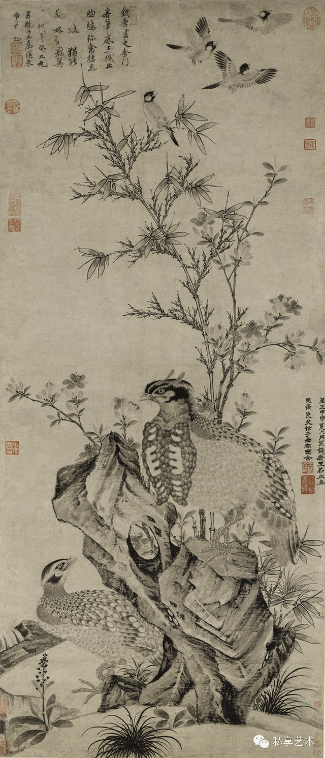 对中国传统绘画中的花鸟画的理解,中国花鸟画意境解读