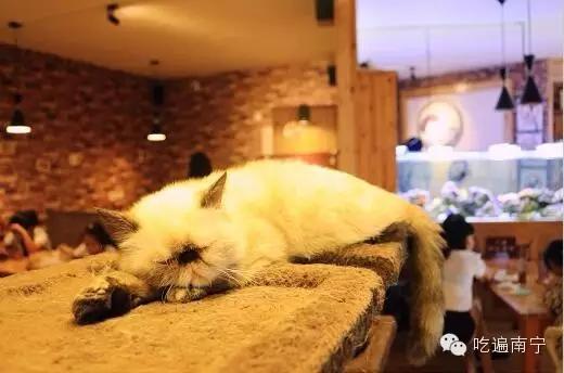 南宁情侣约会下午茶的好去处,南宁姐妹喝茶的好去处