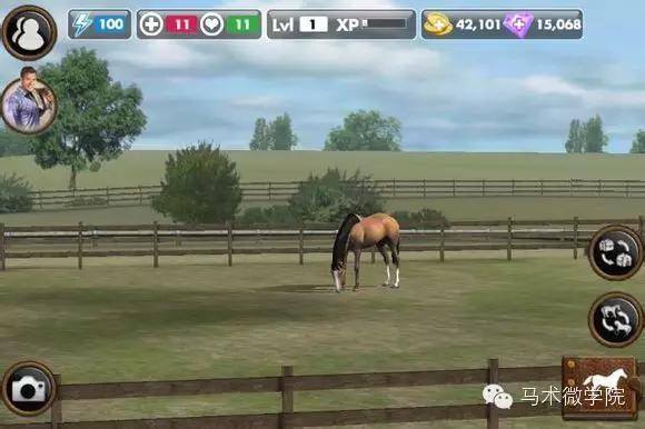 自己养一匹马,能在手机上养宠物的软件