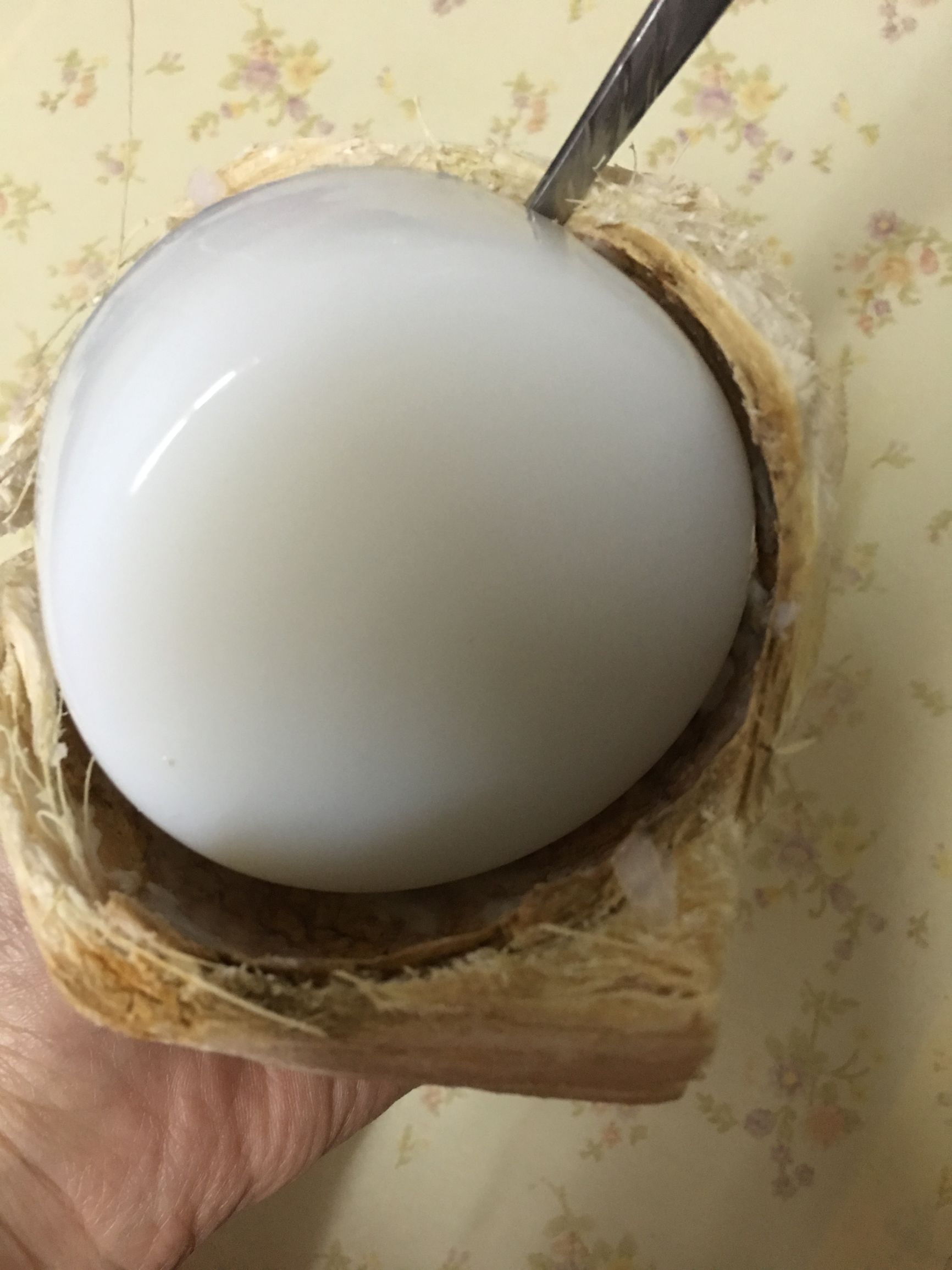 拔牙后怎么吃更营养,拔牙后适合吃什么菜谱