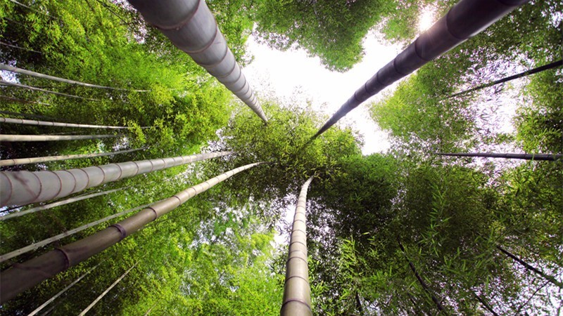 杭州最值得去吃的地方,杭州旅游美食推荐地点