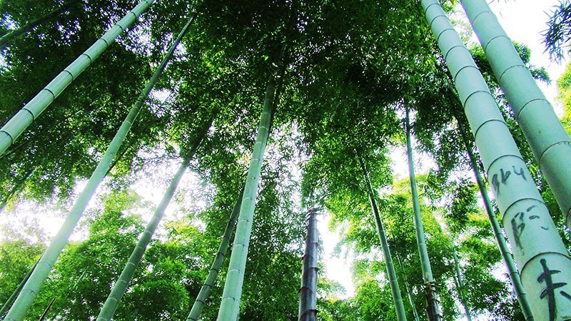 杭州最值得去吃的地方,杭州旅游美食推荐地点