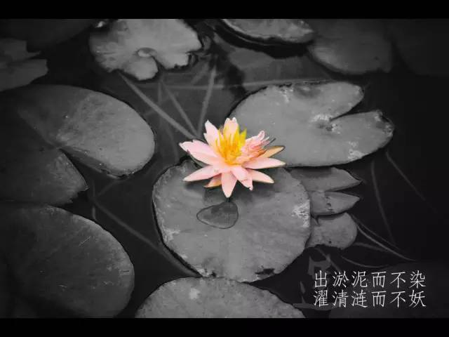 如何迅速做出叫好又叫座的PPT？学生*党**的老大难问题终于有解了！