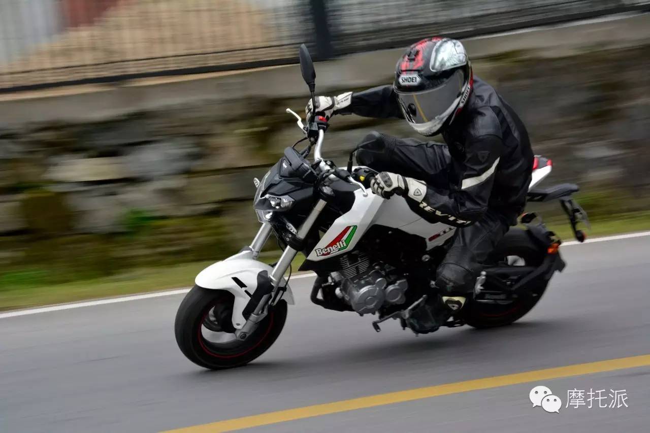 贝纳利小暴龙暴力吗,贝纳利小暴龙最详细的介绍