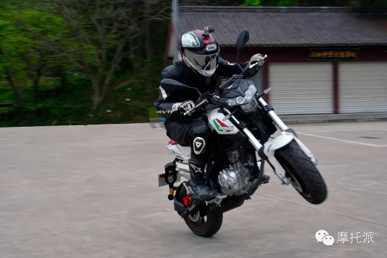 贝纳利小暴龙暴力吗,贝纳利小暴龙最详细的介绍