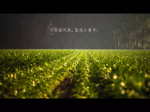 如何迅速做出叫好又叫座的PPT？学生*党**的老大难问题终于有解了！