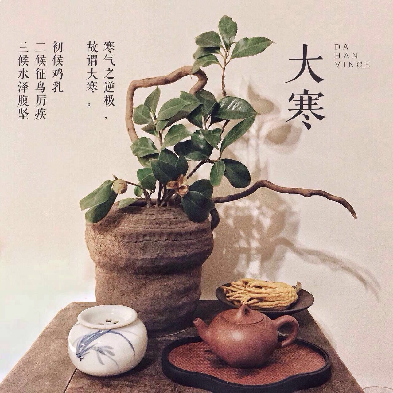 她把眼前的寻常，变成了诗和远方