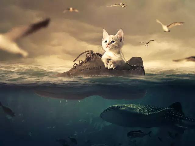 如何迅速做出叫好又叫座的PPT？学生*党**的老大难问题终于有解了！