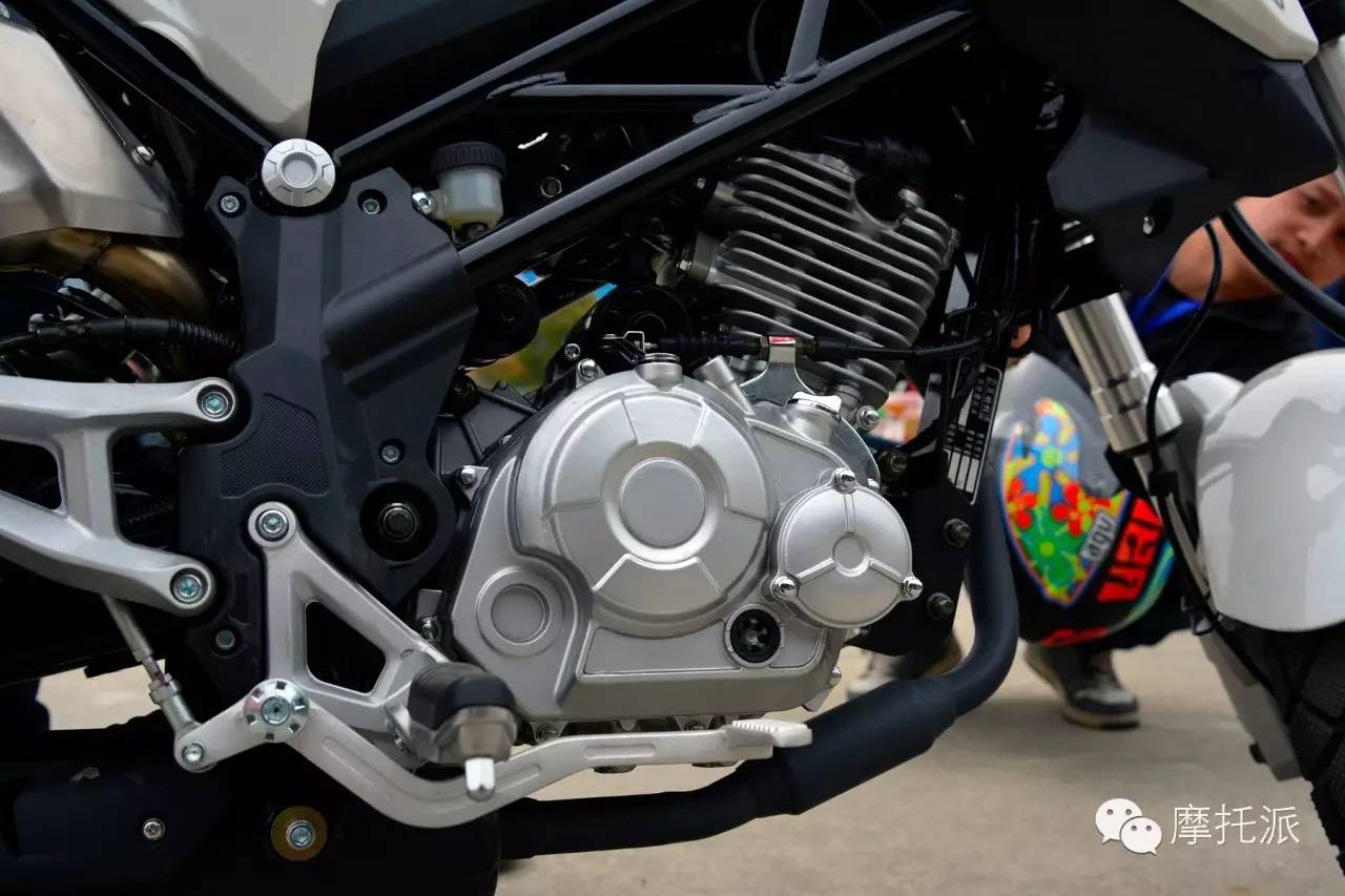 贝纳利小暴龙暴力吗,贝纳利小暴龙最详细的介绍