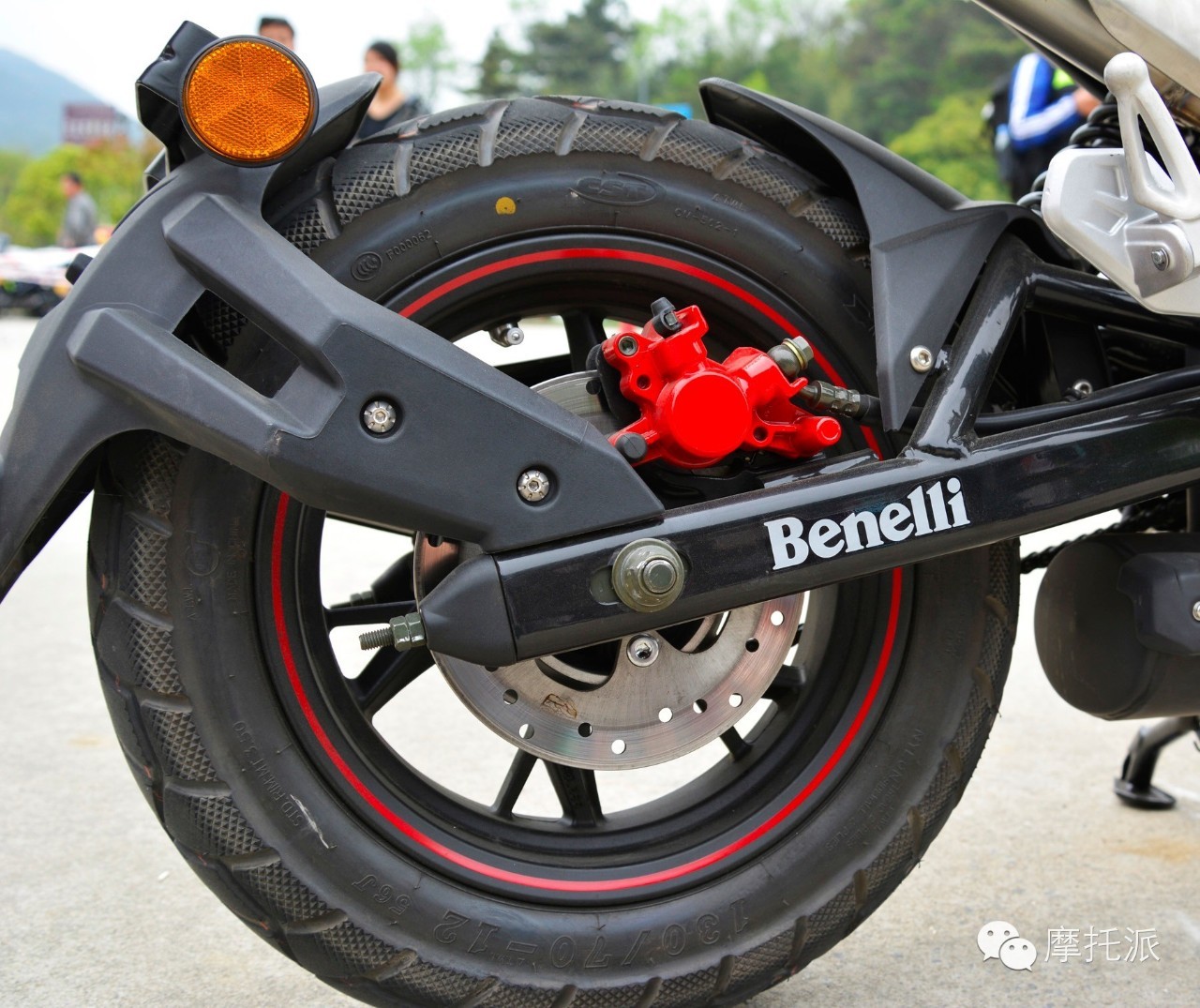 贝纳利小暴龙暴力吗,贝纳利小暴龙最详细的介绍