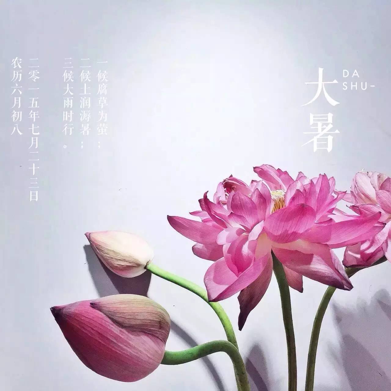 她把眼前的寻常，变成了诗和远方