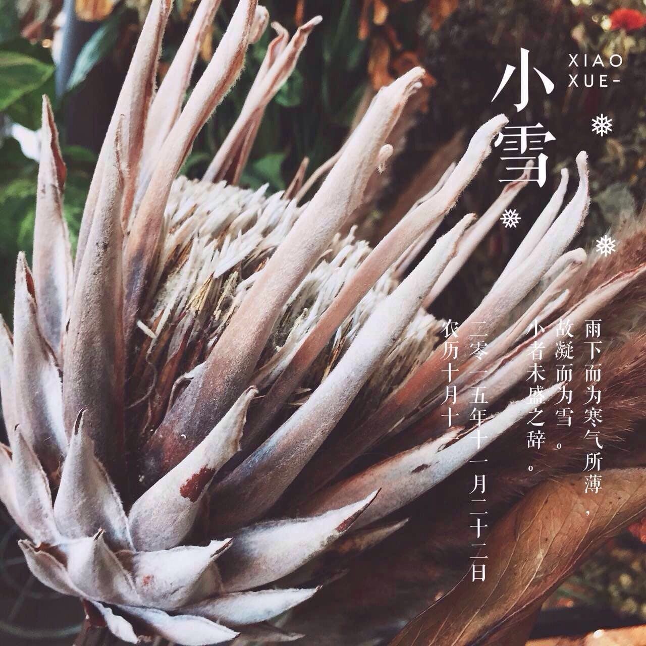 她把眼前的寻常，变成了诗和远方