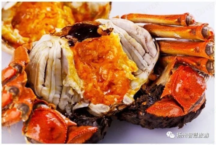 扬州螃蟹,江苏吃螃蟹最出名的地方有哪两个