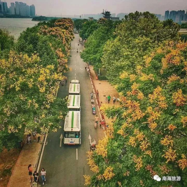 12月机票白菜价！佛山人飞这些地方，最低只要160元！